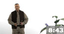 BASF Canada - WALLTITE ECO MD