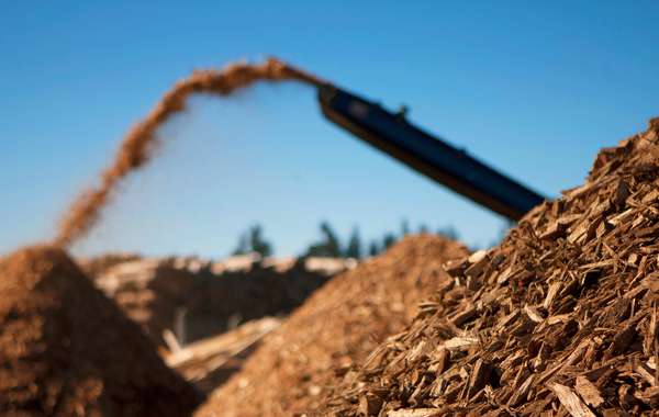 Biomasse issue du bois pour les Chaufferies collectives