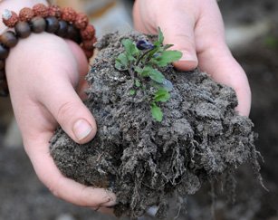 ClimatSol sols contaminés terre terrain décontamination programme subvention