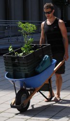 Agriculture urbaine jardin Santrapol Mc Gill Montréal