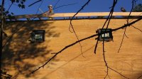 Construction chanvre
