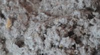 Isolant naturel : la cellulose