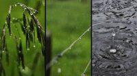 Récupération de l’eau de pluie