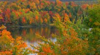 Parc du Mont Orford, Paul Mooody, CC