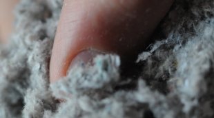 Cellulose
