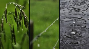 Récupération de l’eau de pluie