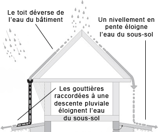 6M Gouttière de drainage Gouttière à fentes Gouttière en fonte Gouttière de  sol Gouttière de cour