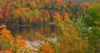 Parc du Mont Orford, Paul Mooody, CC