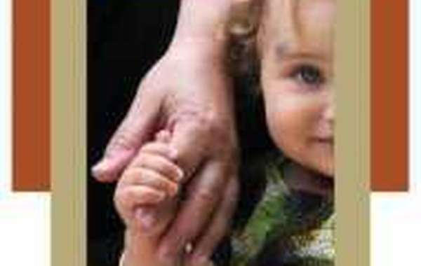 Le site d'Ecohabitation remporte un succès grandissant