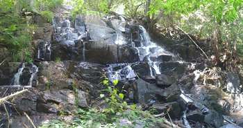 Charles de Martigny, CC