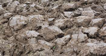 La présence de sol argileux doit être prise en considération en construction