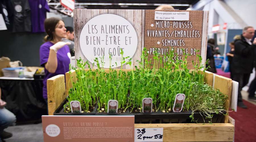 Expo Manger Santé et Vivre Vert: le bio et le local ont le vent dans les voiles