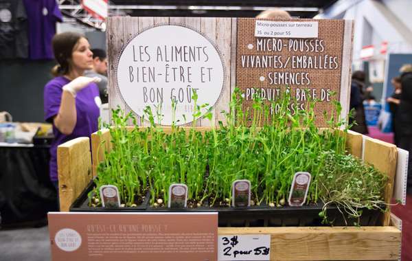 Expo Manger Santé et Vivre Vert: le bio et le local ont le vent dans les voiles