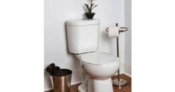 Écolos: la 4,8 litres l'emporte