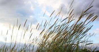 Ventilation : il faut de l’air frais dans un logement !