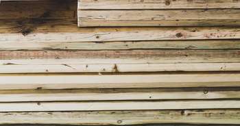 La certification de bois FSC pour des forêts bien gérées