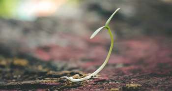 ClimatSol sols contaminés terre terrain décontamination programme subv