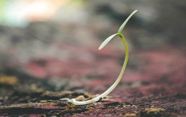 ClimatSol sols contaminés terre terrain décontamination programme subv