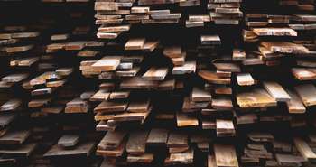 Bien choisir le bois pour les projets de construction