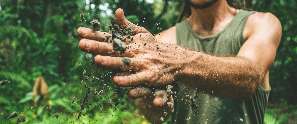 L Agriculture Durable Et La Permaculture A Votre Portee Ecohabitation