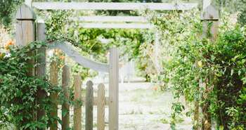 Aménagement extérieur: 6 principes clés pour une cour écologique