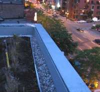 Nouveau Plan d’action de développement durable