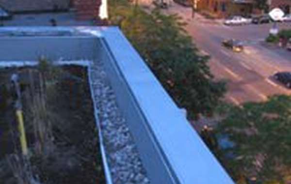 Nouveau Plan d’action de développement durable