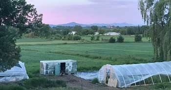 Serres de la Safrenière des Cantons