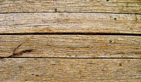 Les Amis de la Terre France