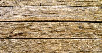 Les Amis de la Terre France