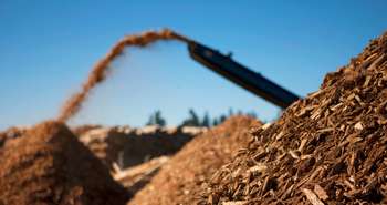 Biomasse issue du bois pour les Chaufferies collectives