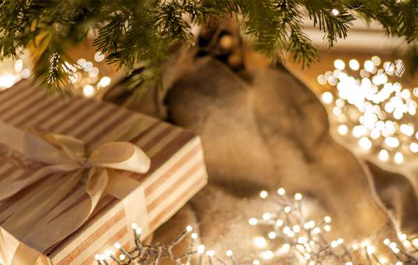 Offres spéciales de Noël Cadeaux Écohabitation