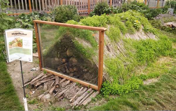 Faire Son Jardin En Lasagne Guide Facile Ecohabitation