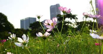 Living Building Challenge