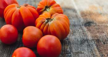 L'ABC de la permaculture