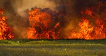 Comment protéger votre maison d'un feu de forêt?