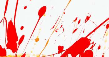 boomerang ecologo peinture ecologique recyclee