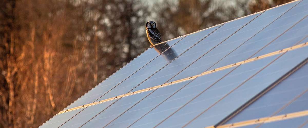 Recyclage des panneaux solaires photovoltaïques en fin de vie
