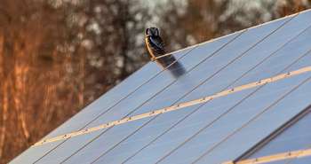 Recyclage des panneaux solaires photovoltaïques en fin de vie