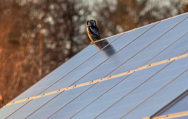 Recyclage des panneaux solaires photovoltaïques en fin de vie