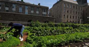 L’autonomie alimentaire : C'est possible au Quebec?