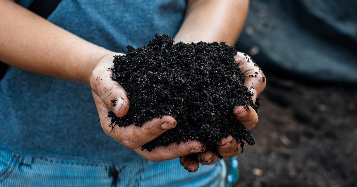 Les bac à compost, bois ou plastique : le compostage traditionnelle - Ma  Petite Plantation