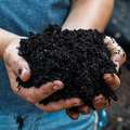 Comment faire du compost