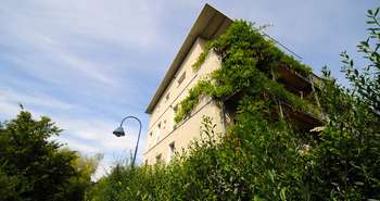 Mesures de végétalisation et de gestion des eaux pluviales