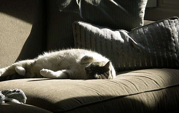 Confort hygrothermique