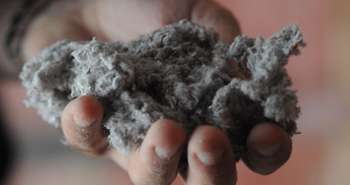 La cellulose pour isoler efficacement les murs