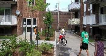 L'OMHM et le verdissement