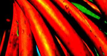 Le filage et le câblage