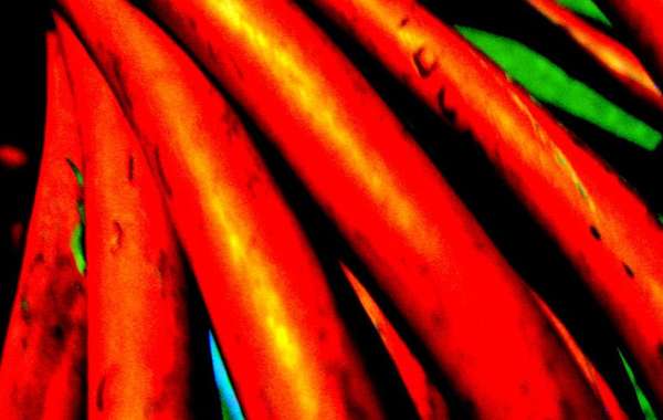 Le filage et le câblage