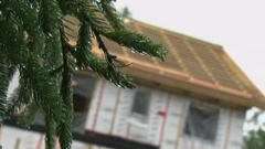 Un quartier vert au coeur de la ville